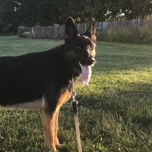 Meet your Posher, Kiera